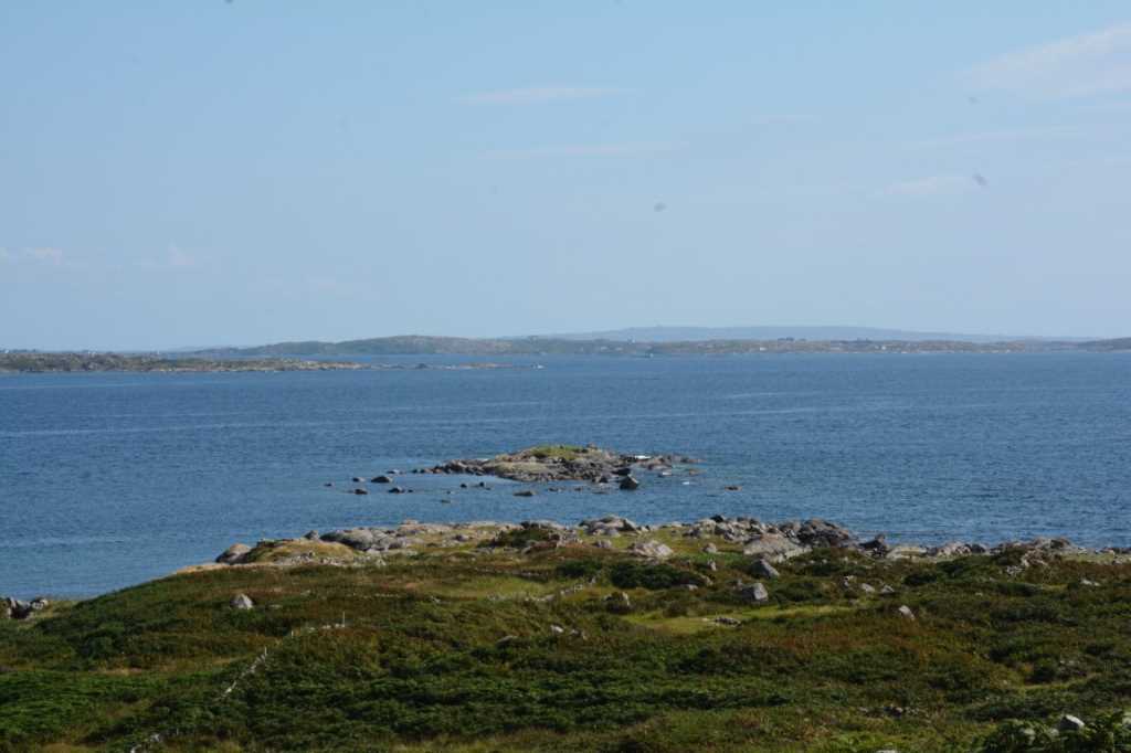 DSC_5741Mittel_.JPG